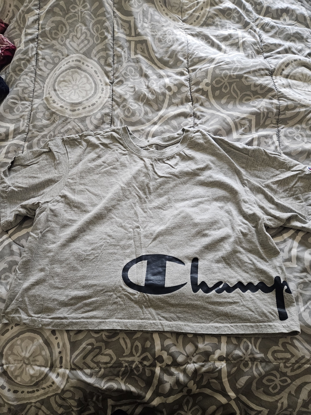 Champion Gray Cropped Tee with Navy Script Logo